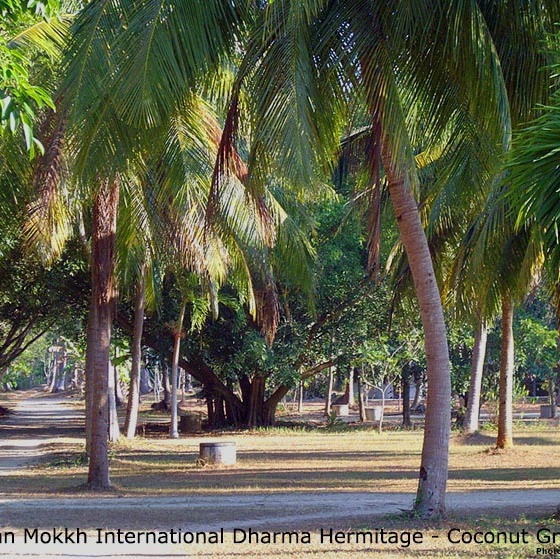 Wat Suan Mokkh International Bharm Hermitage, Loving Kindness - Metta Meditation, Surat Thani, Thailand